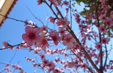 Happy Days Apartment - Foto 20