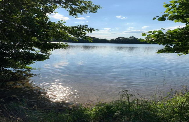 Holiday Home Near Forest and Lake in Pomeranian - Photo 34