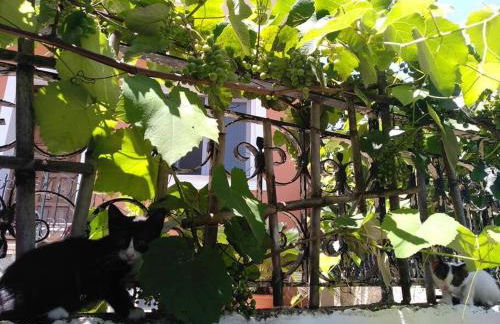 Old cottage in Town - Foto 37