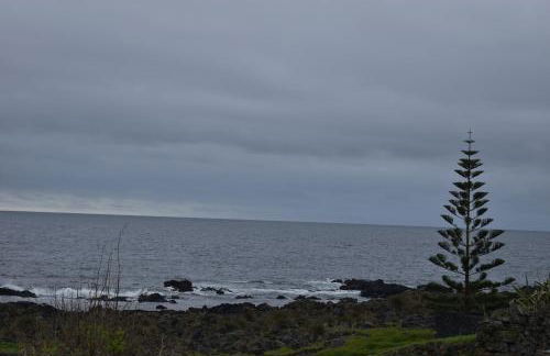 Casa Cruzeiro AL - by the sea OCEANTUR - Photo 22