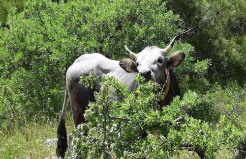 DONNAPAOLA MODERN FARM - Foto 55