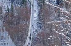 Die Waldstube - Foto 31