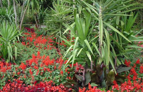 Europa Residenz Premium Suite - Foto 22