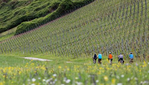 Ferienhof Laurentius - Foto 2