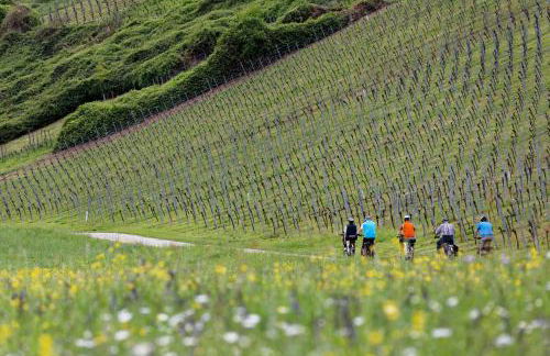 Ferienhof Laurentius - Foto 2