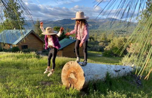 Scenic View Timber Lodge HotTub by Casa Oso - Foto 33