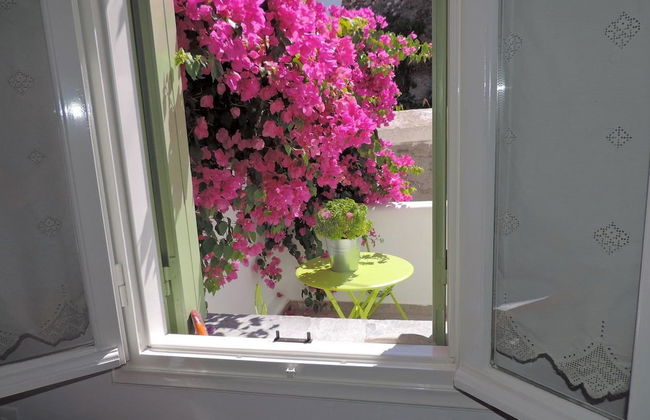 Skaris Homes - Foto 27