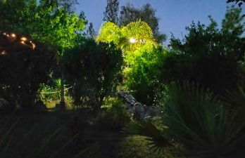 FINCA RIODIEL - Foto 27