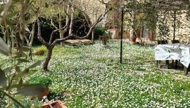 "Il Pollaio" guests house - Foto 4