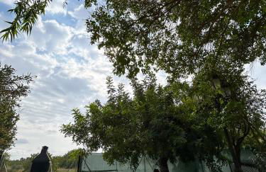 Finca Vitoria - Foto 24