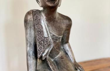 Ravissante maison à St Paul de Vence - Foto 7