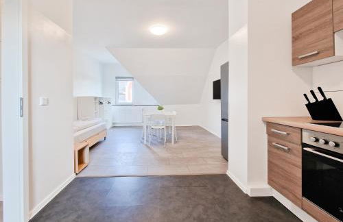 Tolstov Apartments - 3 and 4 Room Monteur Apartments - Photo 23