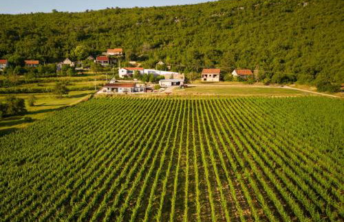 Krolo Villa&Wine - Photo 52