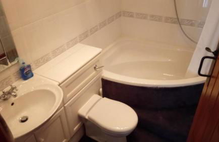 The Old Swan - Photo 19