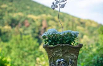 Ferienhaus am Bellachini - Foto 9