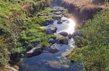 Casa da Cantareira - Foto 14