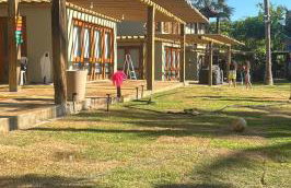 casa LuMar - Photo 31