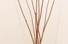 Anzio Interno 2 VistaMare - Photo 36