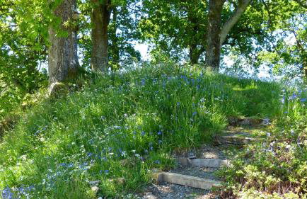 Blarghour Farm Cottages - Foto 17