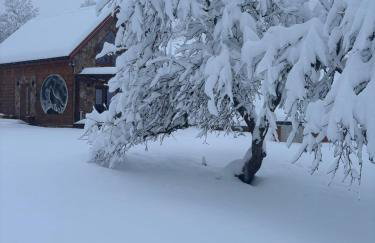 Kamienny Zakątek w Bieszczadach - Foto 43