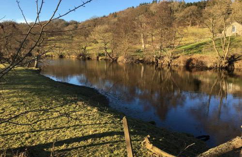 Bryn Melyn Farm Cottages - Foto 18