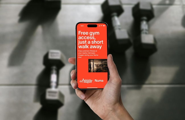 Numa Granada Vega - Foto 101