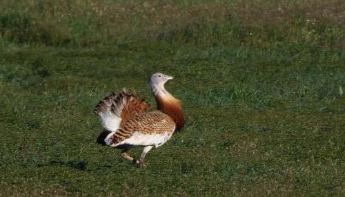 La casa de tus sueños - Foto 4