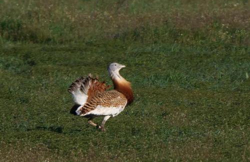 La casa de tus sueños - Foto 4