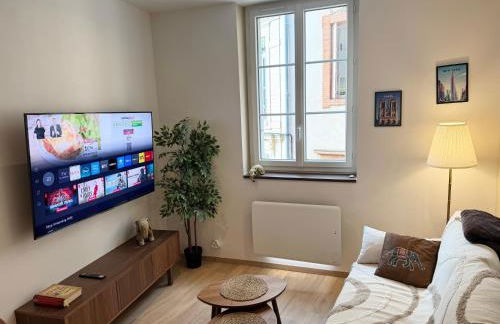 Appartement Puits-Clos - Quartier Capitole - Photo 2