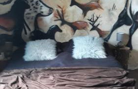 prehistogite - Foto 12