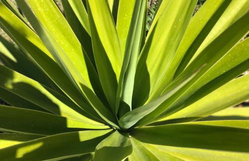 87029house - Photo 52