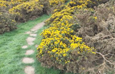 Y Villa Môr - Foto 17