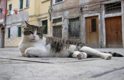 Apartment Essence of Venice - Photo 20