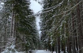 Apartament Hakerówka - Foto 65