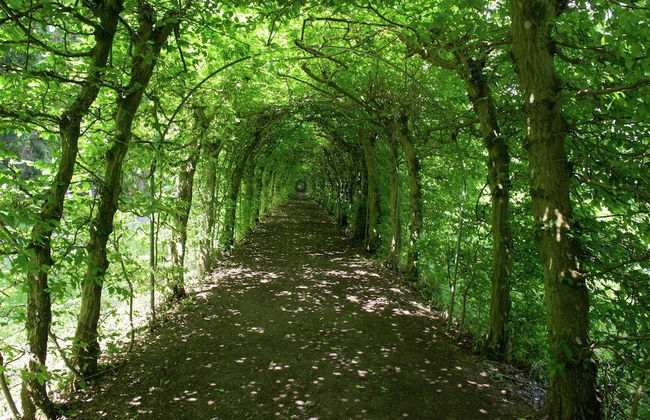 Desnie Farmhouse With Pool - Foto 35