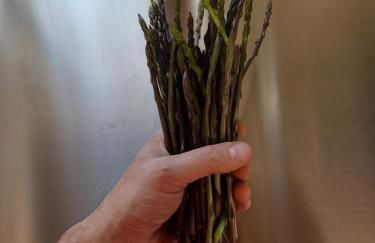 Agriturismo Il Cavallino Saturnia - Foto 32