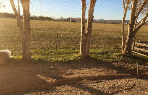 The Elevated Retreat - Foto 4