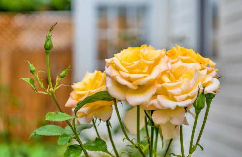 Retro Cottage, Hot Tub, Putting Green, walk to all - Foto 41