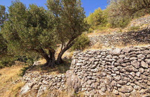 House Abatros - Foto 30