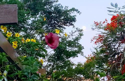 Casa Sitio Região dos Lagos 1200m2 terreno- S Pedro DAldeia - Photo 42