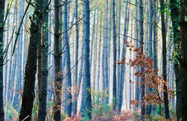 Appart Cosy Green, Océan, Golf, Piscine, Wifi - Foto 59