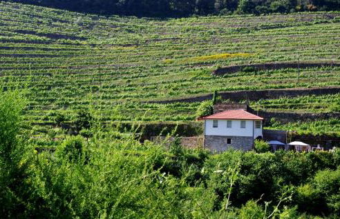 Casa da Quinta do Porto - Foto 43