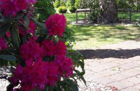 Spreewald-Ferienwohnung Jahn - Foto 21