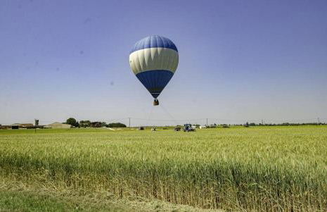 Le coteau de l'orme - Foto 38