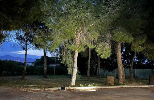 Casa olivar de Riudoms - Foto 13
