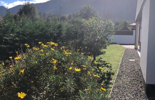 Casas adosadas julieta - Foto 14