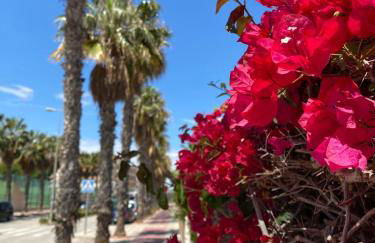 Lobo en Cabo Apartment, Cabo Roig , Orihuela Costa - Photo 31