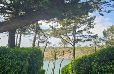 Ty Kerfany - Foto 31