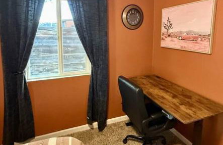 UofA Desert Hollywood - Foto 7