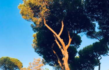 Pineda 38 - Photo 17